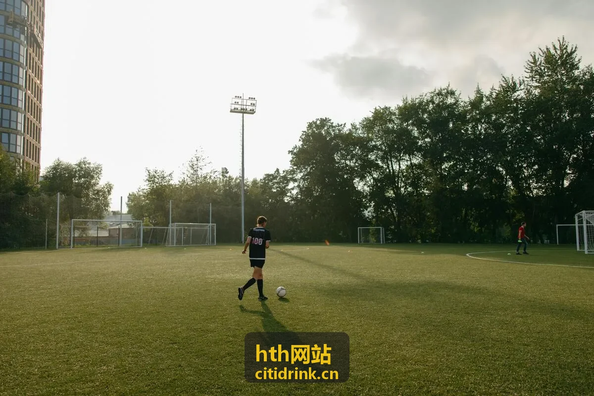 hth网站品牌活动全案落地服务